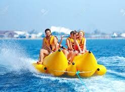 cung cấp thuyền chuối