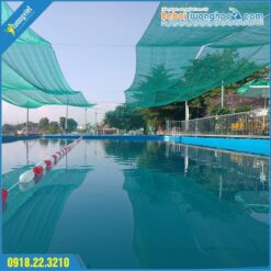 Bể bơi di động